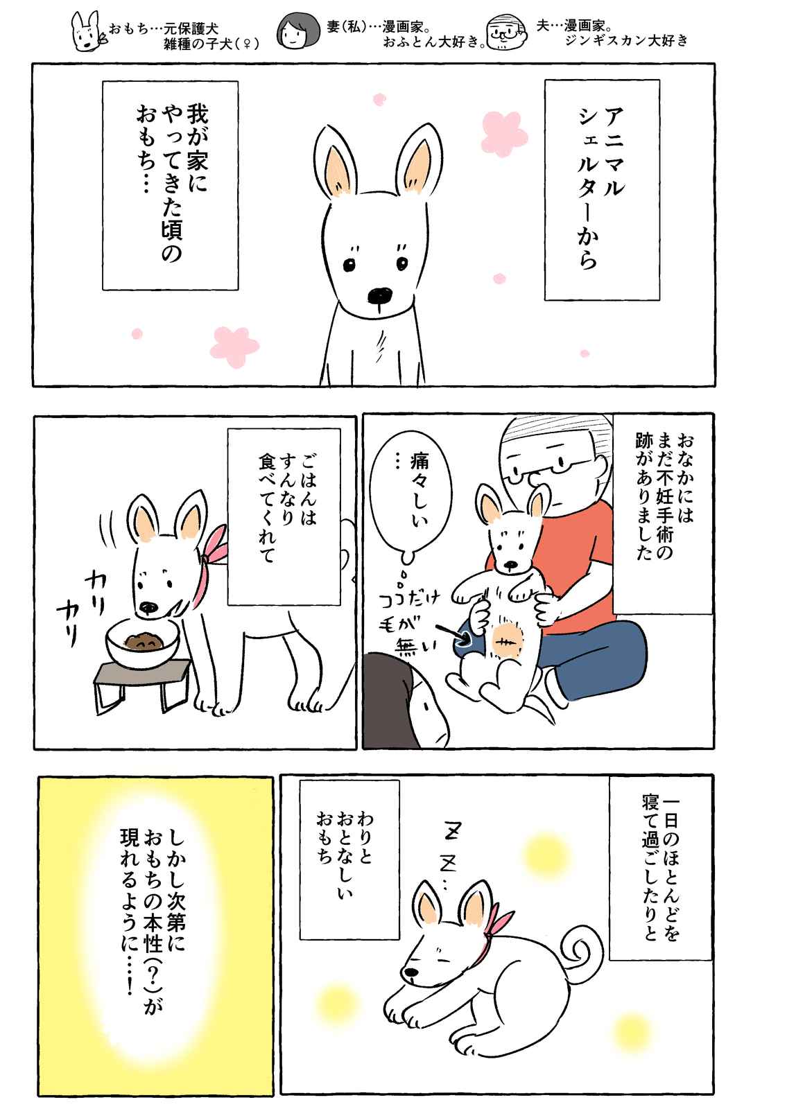 漫画家夫婦が犬を飼った話 第7話 Days Neo デイズネオ