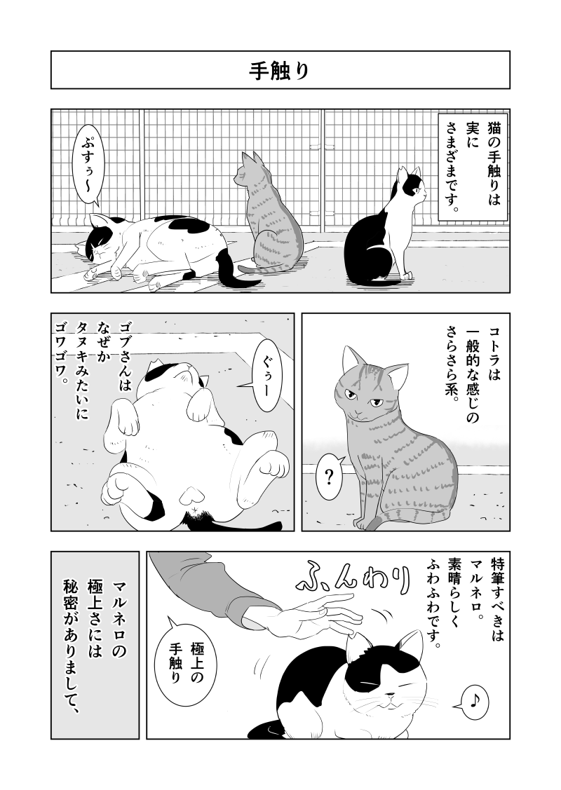 のら猫日記 第3話 Days Neo デイズネオ